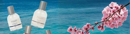 Beach & Out-of-Town Scents: Finding the Best Men's Perfumes in Philippines