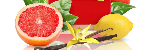 Fragrance Notes Guide: Top, Heart, and Base Explained
