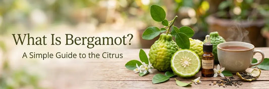 What Is Bergamot? A Simple Guide to the Citrus